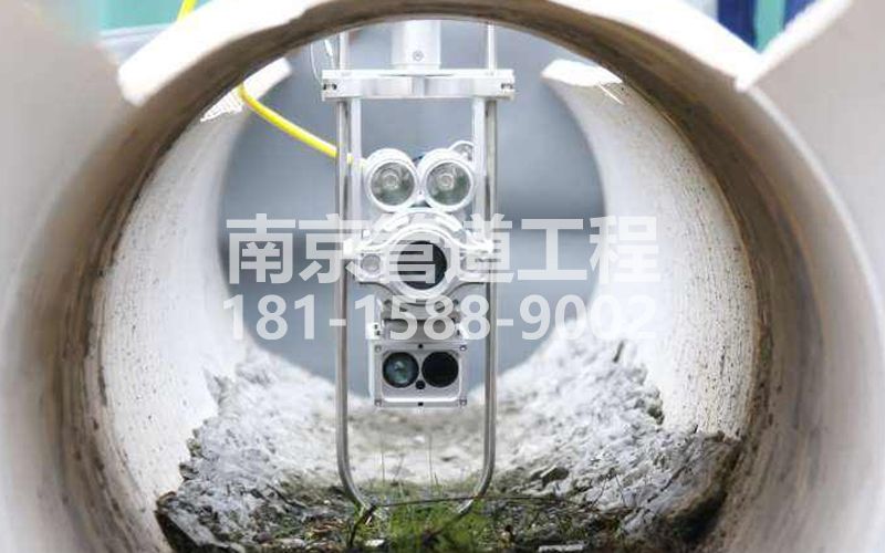 221双和园QV检测